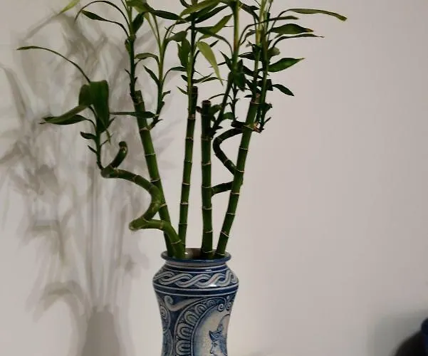 Bed & Breakfast Dimora Di Girgenti Agrigento