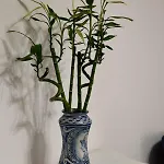 Bed & Breakfast Dimora Di Girgenti Agrigento