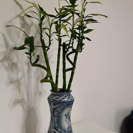 Bed and breakfast Dimora Di Girgenti Agrigento